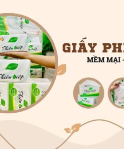 Giấy các loại